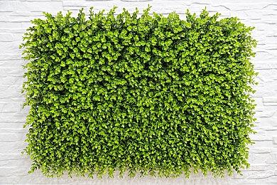 PC新游《KANADE》宣布制作 美少女主角艺图公布